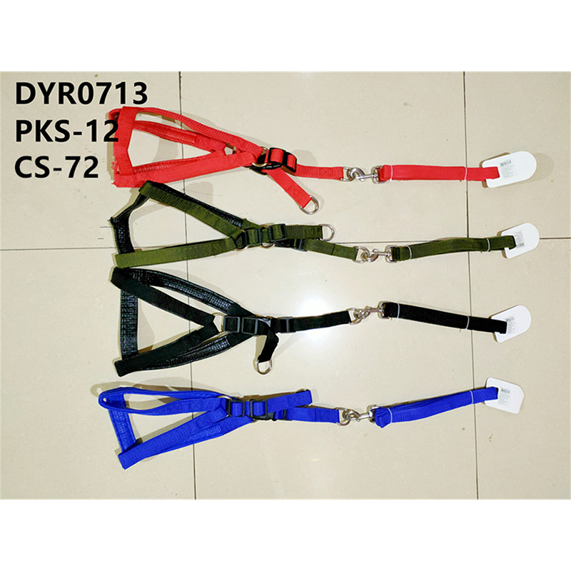 DYR0713